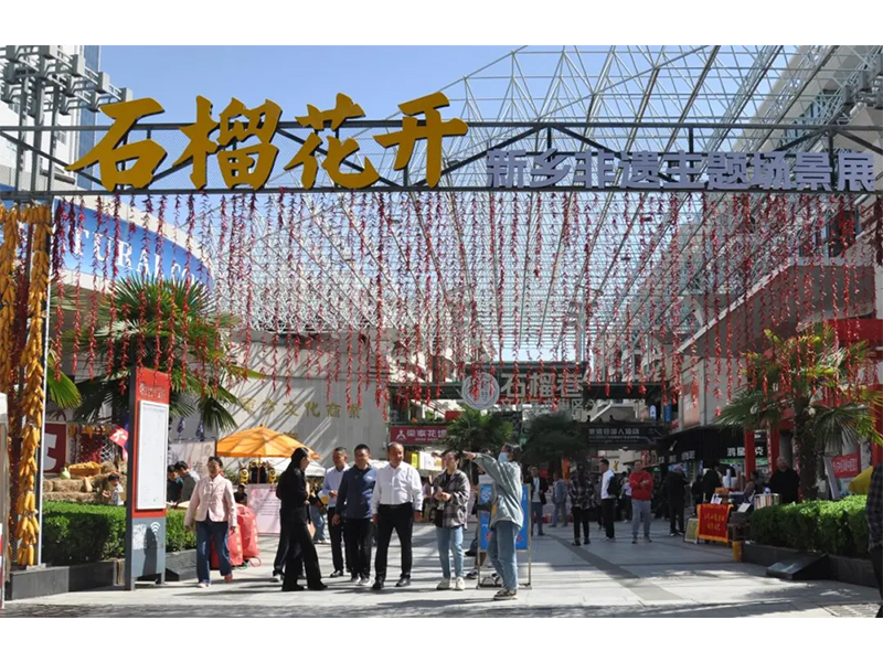 我院“史氏痔瘘”非遗市级传人史阳参加新乡市“石榴花开”非遗主题场景展活动